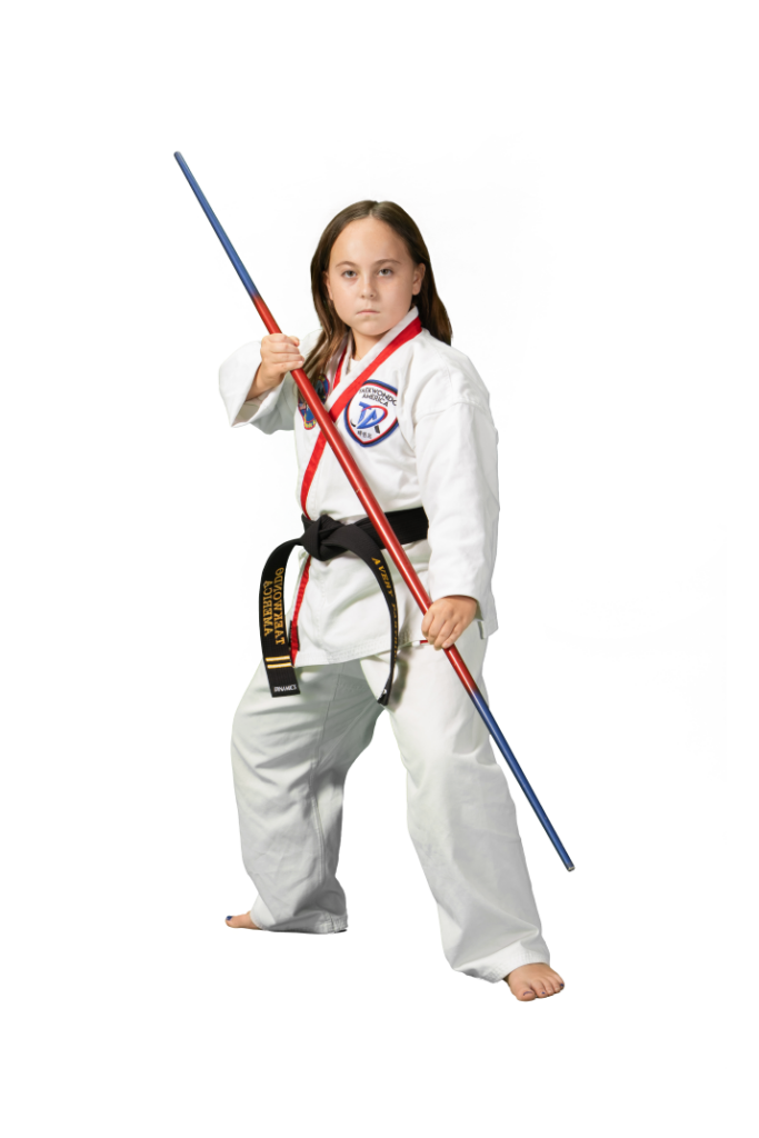 About Us | Lake Norman TaeKwonDo
